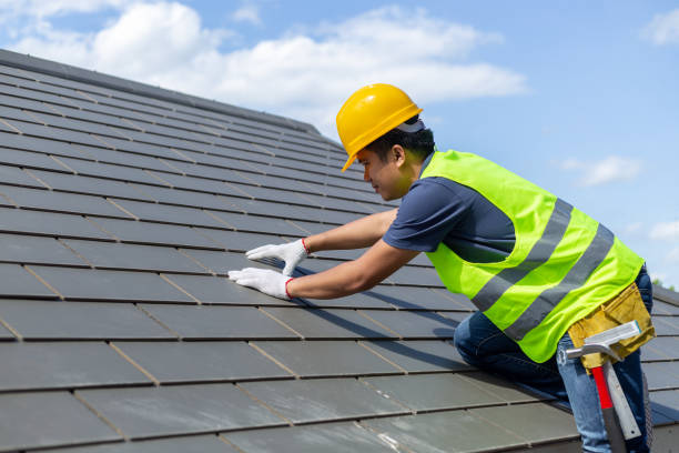 Best Metal Roofing Contractor  in West Van Lear, KY