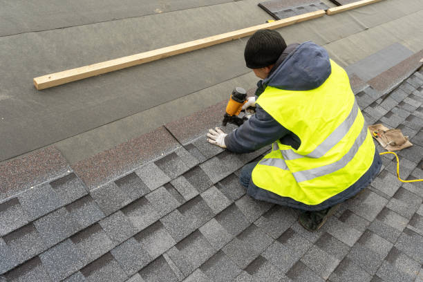 Best Roof Gutter Cleaning  in West Van Lear, KY