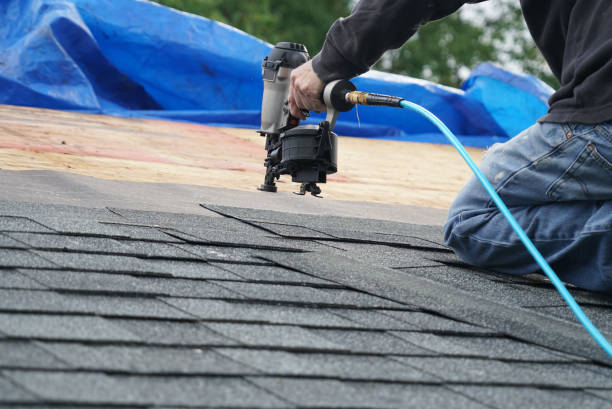 Best Roof Maintenance Services  in West Van Lear, KY