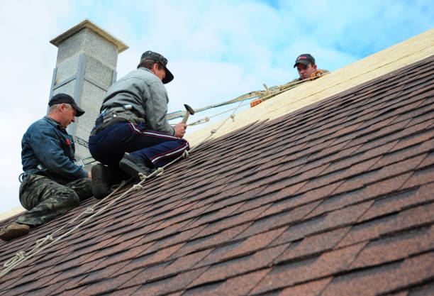 Best Gutter Installation and Roofing  in West Van Lear, KY