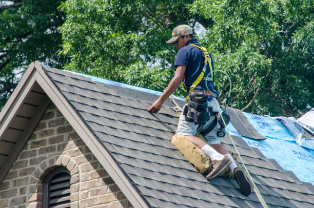 Best Roof Repair Services  in West Van Lear, KY