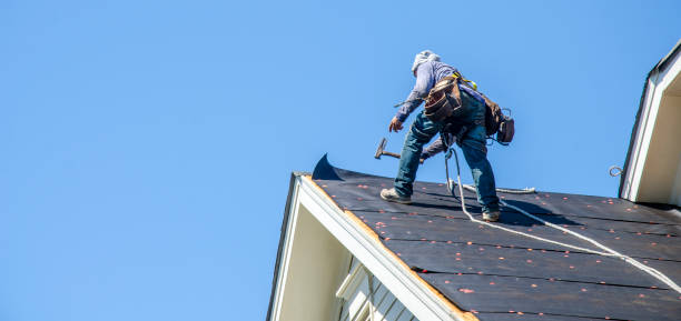 Best Shingle Roofing Installation  in West Van Lear, KY